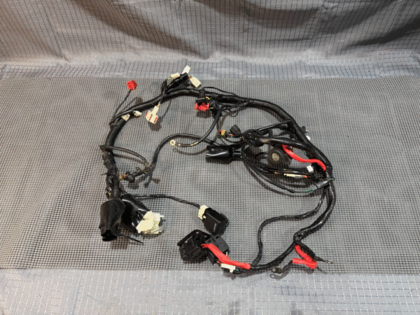 2022 Lifan Qipai Xpect 200cc OEM Wiring Harness
