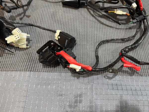 2022 Lifan Qipai Xpect 200cc OEM Wiring Harness - Image 2