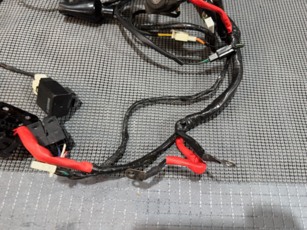 2022 Lifan Qipai Xpect 200cc OEM Wiring Harness - Image 3