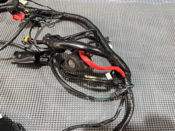 2022 Lifan Qipai Xpect 200cc OEM Wiring Harness - Image 4