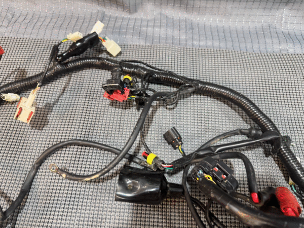 2022 Lifan Qipai Xpect 200cc OEM Wiring Harness - Image 5
