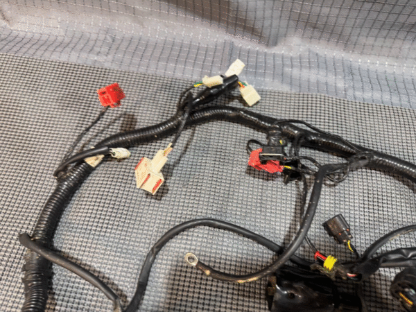 2022 Lifan Qipai Xpect 200cc OEM Wiring Harness - Image 6