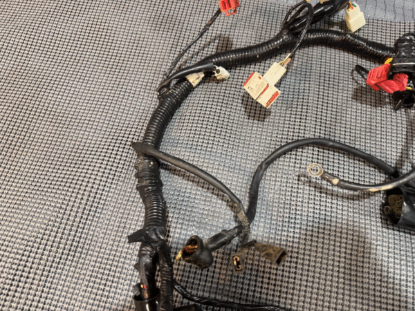 2022 Lifan Qipai Xpect 200cc OEM Wiring Harness - Image 7