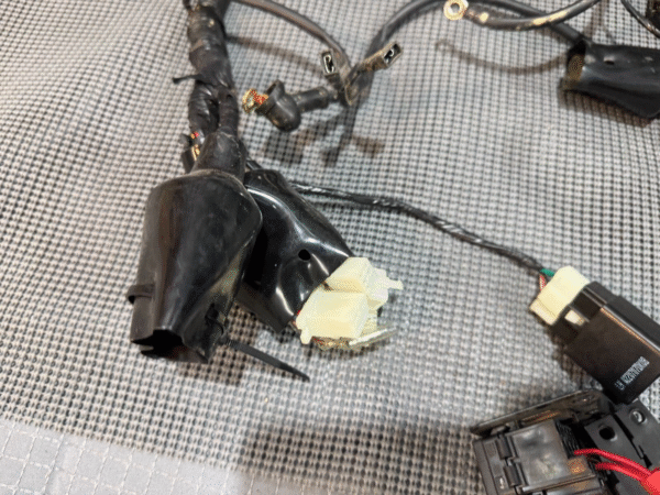 2022 Lifan Qipai Xpect 200cc OEM Wiring Harness - Image 8