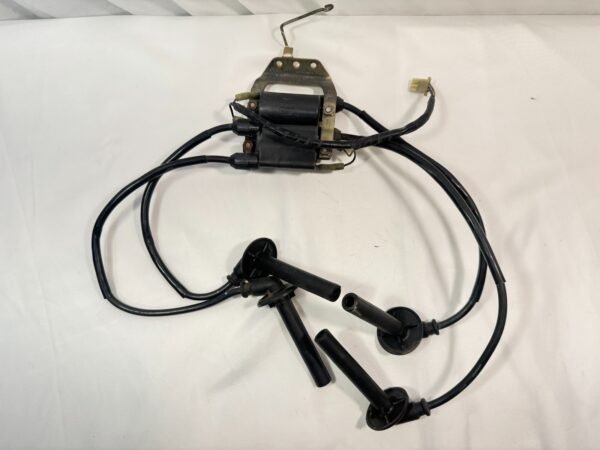 2002 honda st1100 IGNITION COILS SET CAP CAPS WIRES