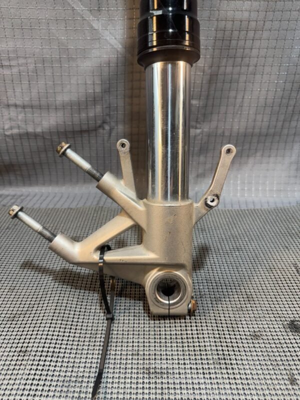 08-18 2009 Aprilia Shiver 750 SL750 Right Front Fork Suspension - Image 2
