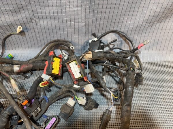 08-18 2009 Aprilia Shiver 750 SL750 Main Wire Harness Wiring Loom FOR PARTS DAMG - Image 4