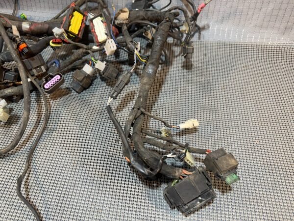 08-18 2009 Aprilia Shiver 750 SL750 Main Wire Harness Wiring Loom FOR PARTS DAMG - Image 5