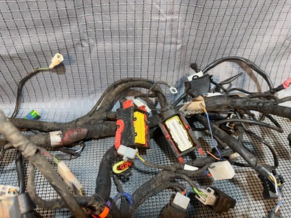 08-18 2009 Aprilia Shiver 750 SL750 Main Wire Harness Wiring Loom FOR PARTS DAMG - Image 8