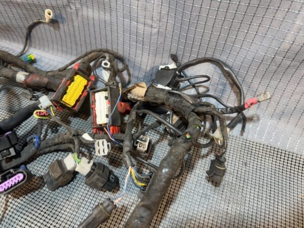 08-18 2009 Aprilia Shiver 750 SL750 Main Wire Harness Wiring Loom FOR PARTS DAMG - Image 9