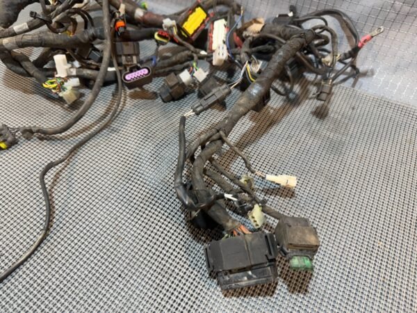 08-18 2009 Aprilia Shiver 750 SL750 Main Wire Harness Wiring Loom FOR PARTS DAMG - Image 10