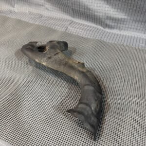 2002 Honda st1100 Exhaust Heat Shield Guard Protector Right