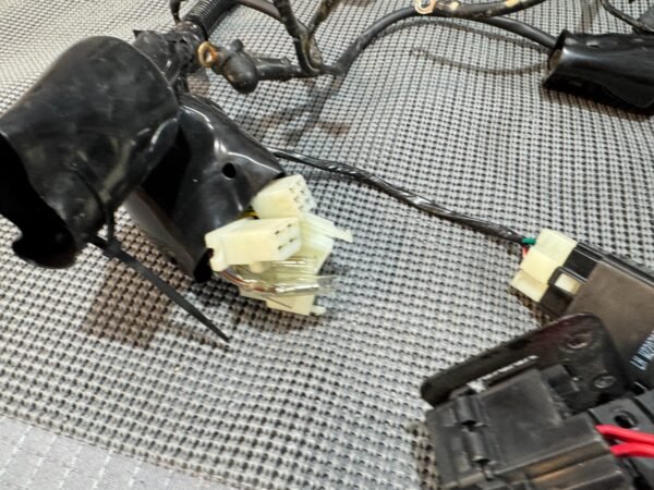 2022 Lifan Qipai Xpect 200cc OEM Wiring Harness - Image 9