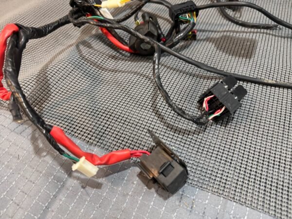 2022 Lifan Qipai Xpect 200cc OEM Wiring Harness - Image 10