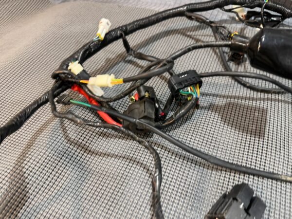 2022 Lifan Qipai Xpect 200cc OEM Wiring Harness - Image 11
