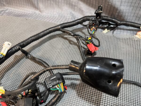2022 Lifan Qipai Xpect 200cc OEM Wiring Harness - Image 12
