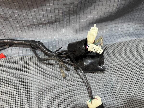 2022 Lifan Qipai Xpect 200cc OEM Wiring Harness - Image 14
