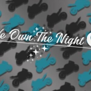 We Own The Night Stance Car 8-Inch Vinyl Decal