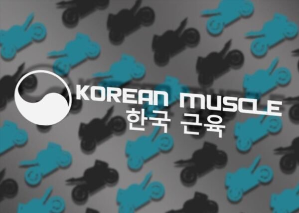 Korean Muscle KDM JDM Tuner Vinyl Decal